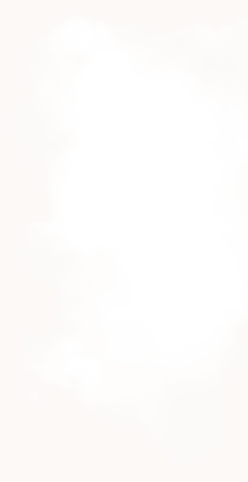 Två hästar i en hage. De tittar på betraktaren.